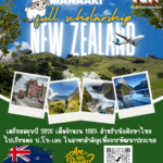 New Zealand scholarship2026